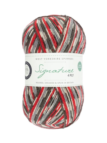 West Yorkshire Spinners Signature 4 Ply Country Birds Collection Sock Yarn 100g - Bullfinch 861