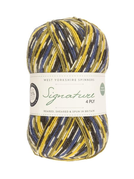 West Yorkshire Spinners Signature 4 Ply Country Birds Collection Sock yarn 100g - Bluetit 818
