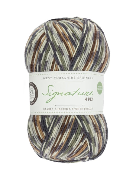 West Yorkshire Spinners Signature 4 Ply Country Birds Collection Sock Yarn - Owl 877