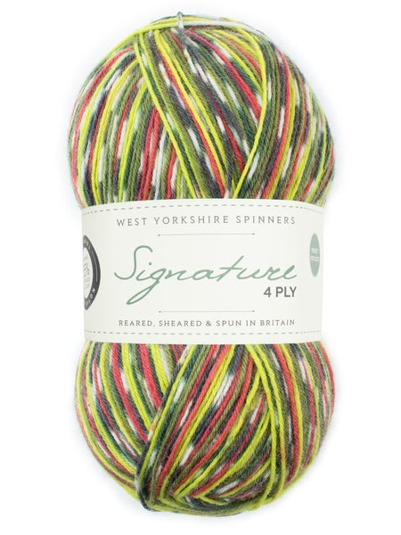 West Yorkshire Spinners Signature 4 Ply Country Birds Collection - Green Woodpecker 1170