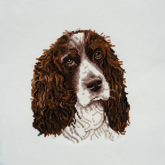 Trimits Cross Stitch Kit Springer Spaniel - GCS105