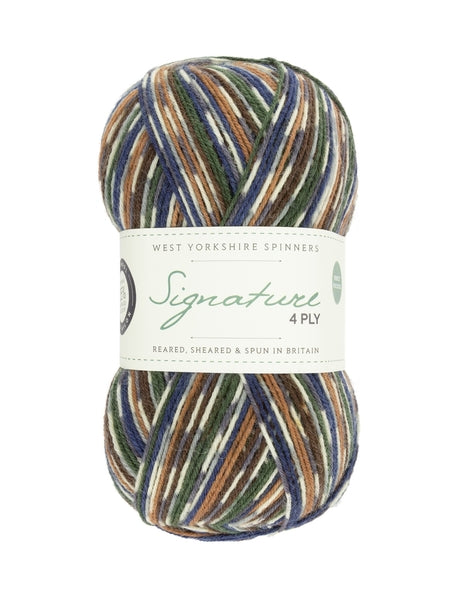 West Yorkshire Spinners Signature 4 Ply Country Birds Collection Sock Yarn 100g - Mallard 862