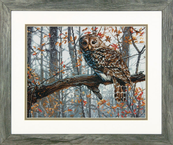 Dimensions Counted Cross Stitch Kit Wise Owl - 70-35311