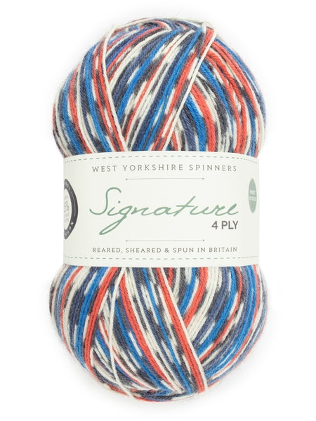 West Yorkshire Spinners Signature 4 Ply CountryBirds Sock Yarn - Swallow 1168