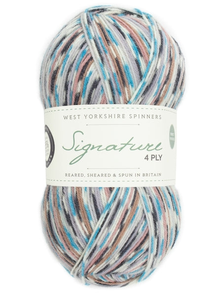 West Yorkshire Spinners Signature 4 Ply Country Birds Collection - Jay 1167