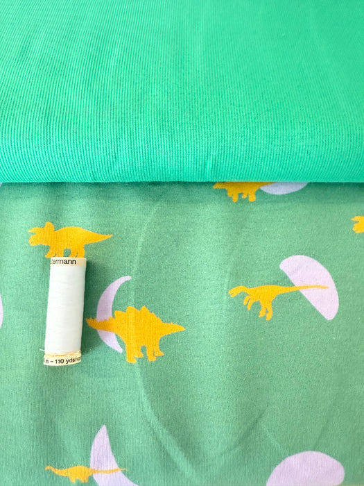 Editex French Terry Fabric 160cm x HALF METRE - Dino World Green 0206267
