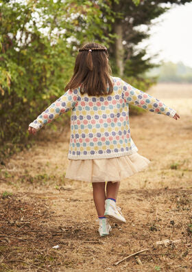 Rowan Hide & Seek By Martin Storey (Book)