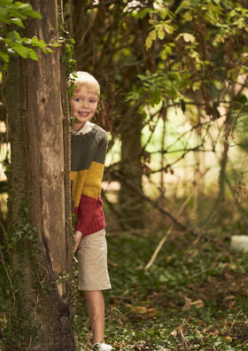 Rowan Hide & Seek By Martin Storey (Book)