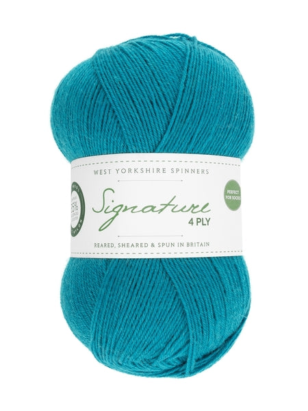 West Yorkshire Spinners Signature 4 Ply Yarn 100g - Blueberry Bonbon 365