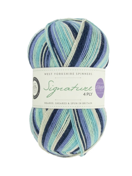 West Yorkshire Spinners Signature 4 Ply Winwick Mum Yarn 100g - Winter Icicle 878