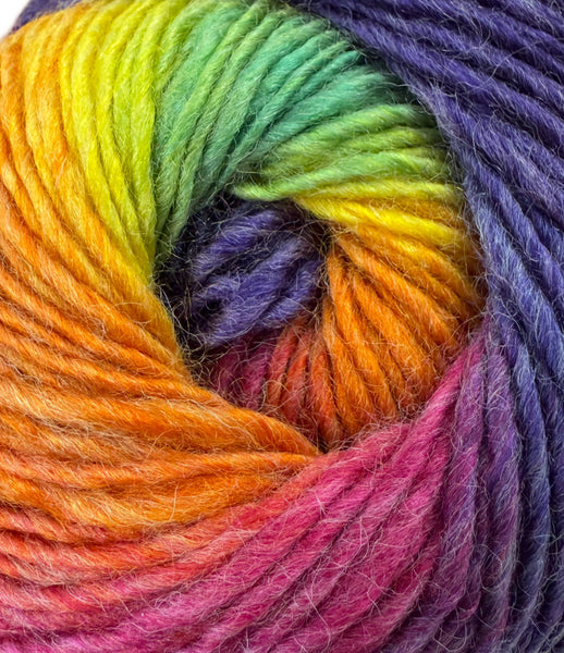 King Cole Riot DK Yarn 100g - Bos/MhD