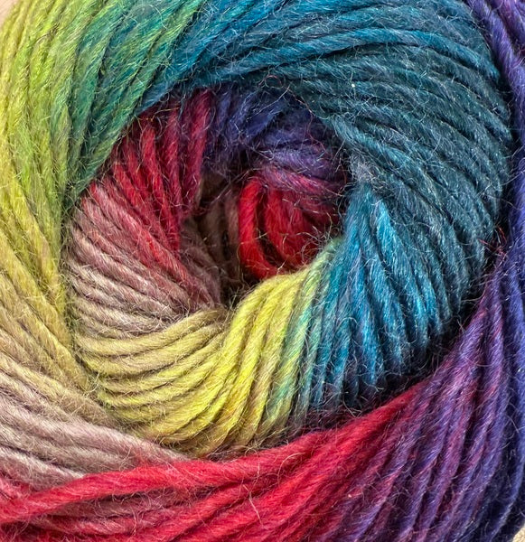 King Cole Riot DK Yarn 100g - Bos/MhD