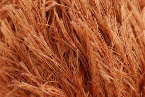 King Cole Moments DK Yarn 50g - All Shades