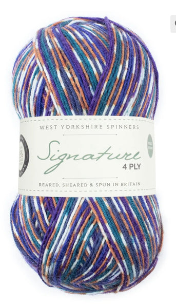 West Yorkshire Spinners Signature 4 Ply Country Birds Collection - Starling 1169