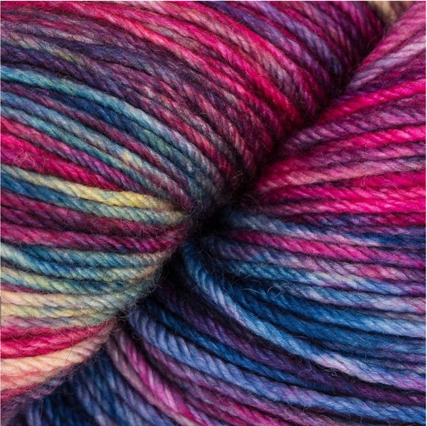 Malabrigo Arroyo DK Yarn 100% Merino Wool 100g - Aniversario 005