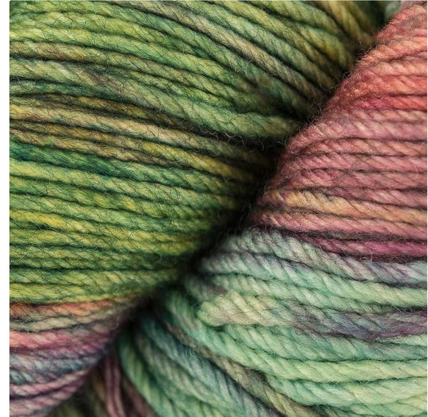 Malabrigo Arroyo DK Yarn 100% Merino wool 100g - Arco Iris 866