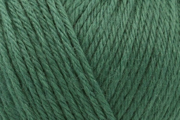 Rico Baby Dream Uni DK Baby Yarn 50g - Moss 020 (Discontinued)