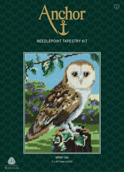 Anchor Needlepoint Tapestry Kit Starter Owl - MR951
