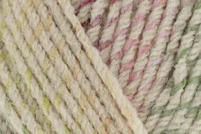 Stylecraft Moorland Chunky Yarn 100g - 6 Shades