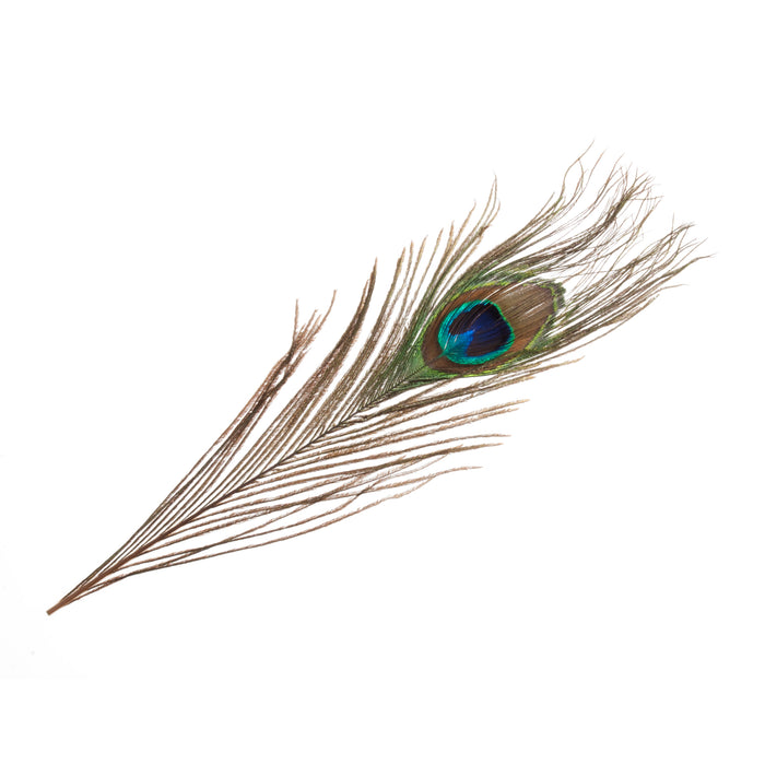 Trimits Peacock Feathers 28cm Pack of 2 CB310X
