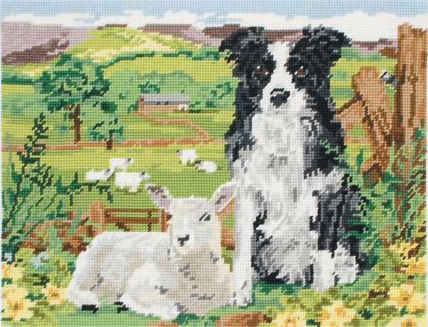 Anchor Tapestry Kit Boarder Collie and lamb - MR7004
