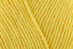 King Cole Cottonsoft DK Yarn 100g - All Shades