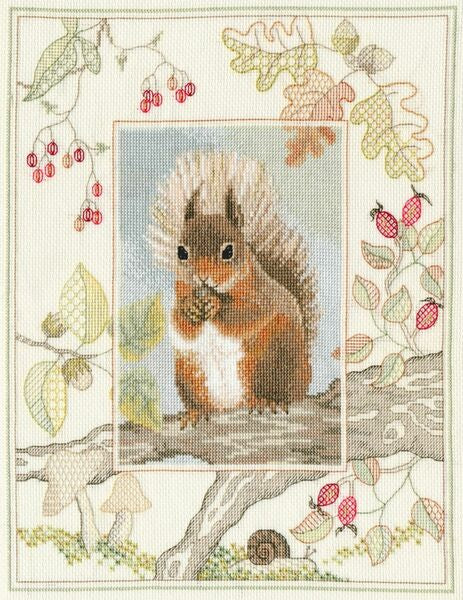 Bothy Threads Cross Stitch Kit Wildlife: Red Squirrel - WIL4