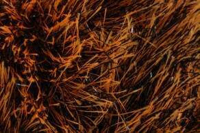 King Cole Tinsel Chunky Yarn 50g - All Shades