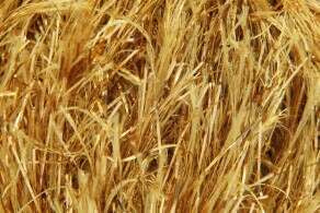 King Cole Tinsel Chunky Yarn 50g - All Shades