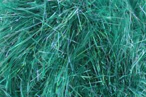 King Cole Tinsel Chunky Yarn 50g - All Shades