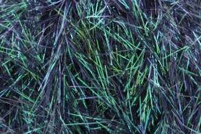 King Cole Tinsel Chunky Yarn 50g - All Shades