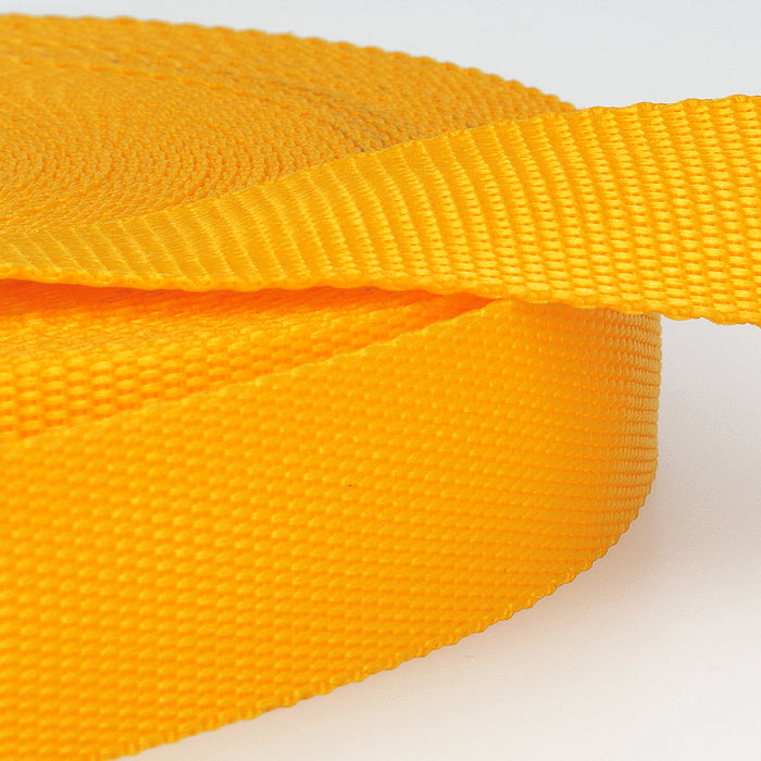 Stephanoise Polypropylene Webbing 25mm - S103F025