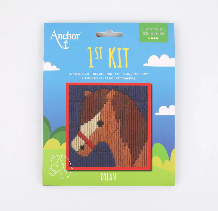 Anchor 1st Kit Long Stitch Dylan Art.3690000-30008