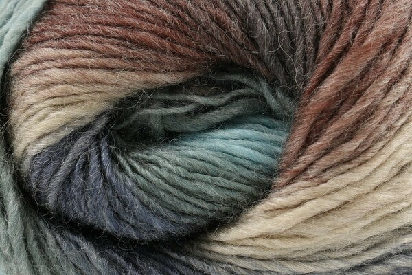 King Cole Riot DK Yarn 100g - Bos/MhD