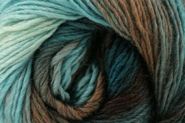 King Cole Riot DK Yarn 100g - Bos/MhD