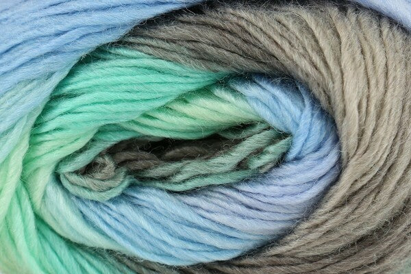 King Cole Riot DK Yarn 100g - Bos/MhD