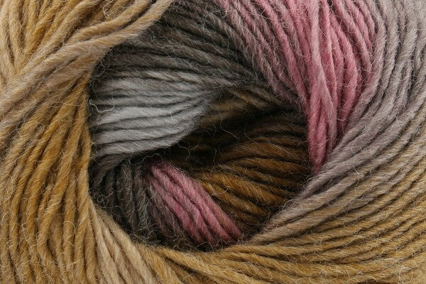 King Cole Riot DK Yarn 100g - Bos/MhD