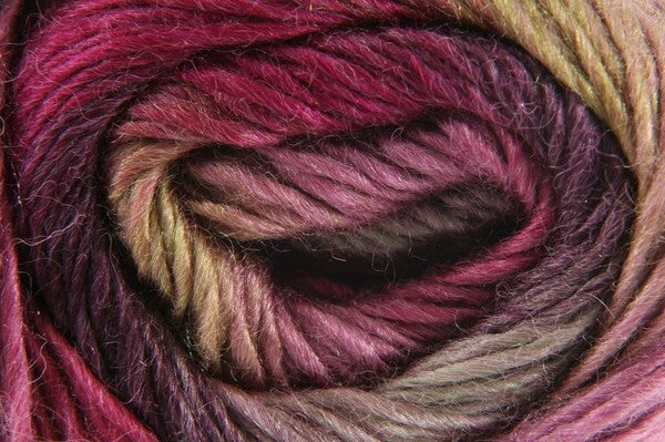 King Cole Riot DK Yarn 100g - Bos/MhD