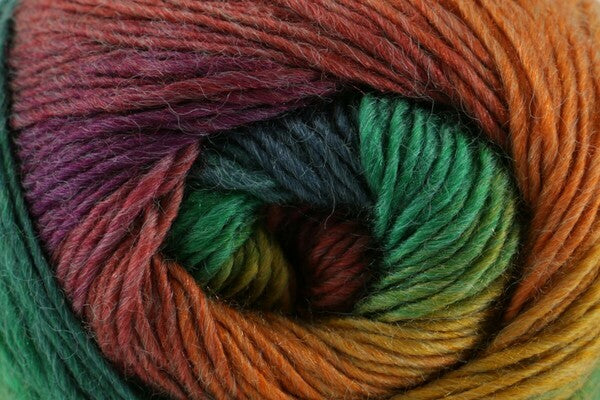 King Cole Riot DK Yarn 100g - Bos/MhD