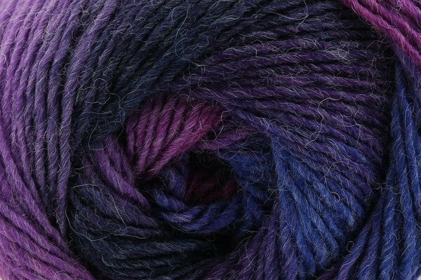 King Cole Riot DK Yarn 100g - Bos/MhD