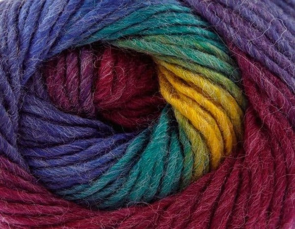 King Cole Riot Chunky Yarn 100g - BoS/MhD