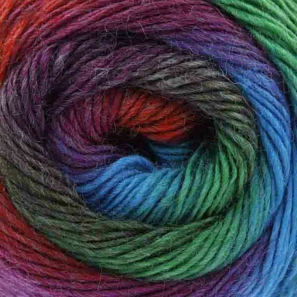 King Cole Riot DK Yarn 100g - Bos/MhD