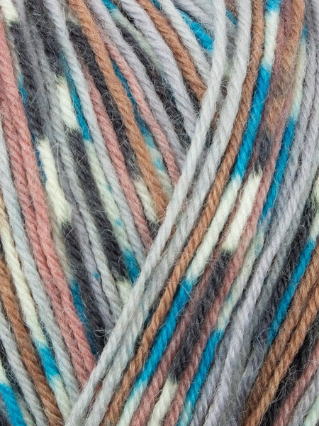 West Yorkshire Spinners Signature 4 Ply Sock Yarn 100g Country Birds Collection