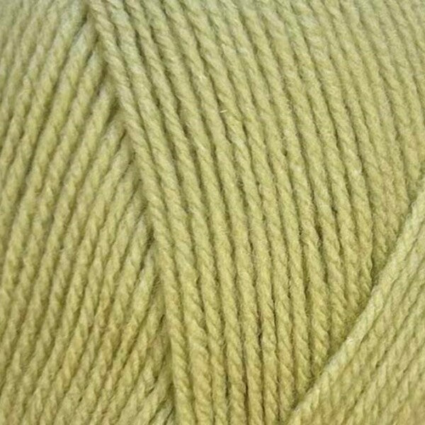 Stylecraft Special DK Made In Yorkshire Yarn 100g - 20 New Shades