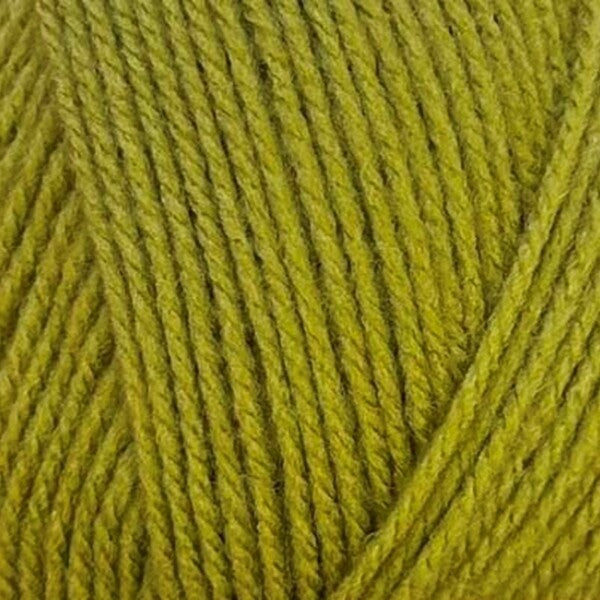 Stylecraft Special DK Made In Yorkshire Yarn 100g - 20 New Shades