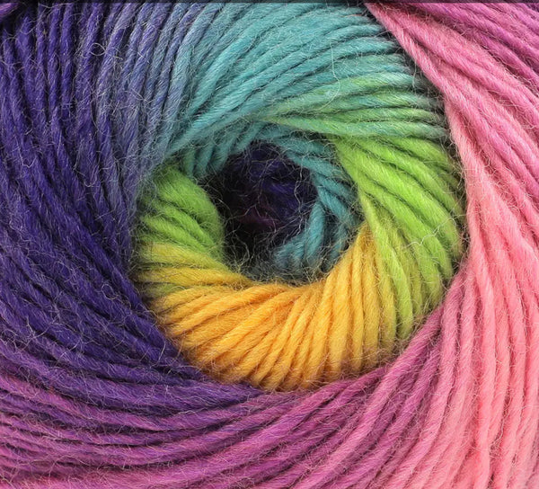 King Cole Riot DK Yarn 100g - Bos/MhD