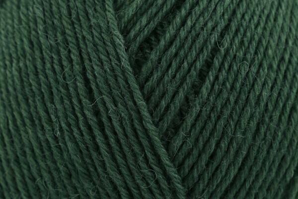 West Yorkshire Spinners Signature 4 Ply Collection Sock Yarn 100g - All Shades