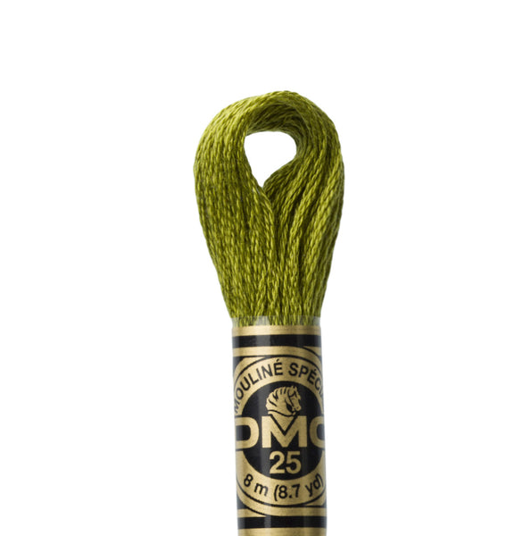 DMC Stranded Cotton Embroidery Thread - 580