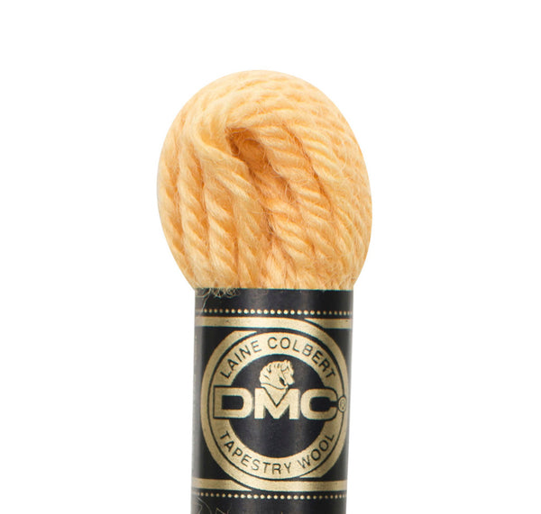 DMC Tapestry Wool - Col 7058