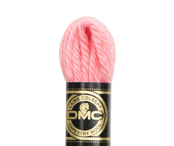 DMC Tapestry Wool - Col 7004